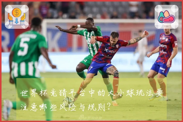 世界杯竞猜平台中的大小球玩法要注意哪些风险与规则？