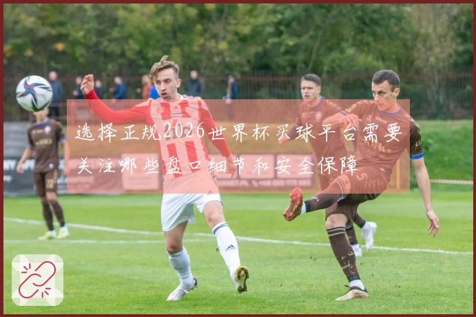 选择正规2026世界杯买球平台需要关注哪些盘口细节和安全保障