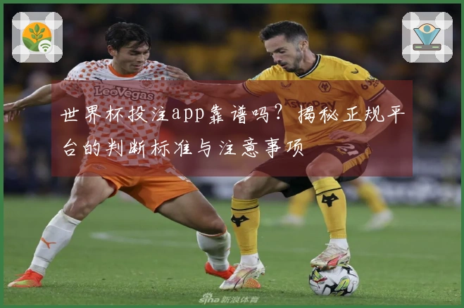世界杯投注app靠谱吗？揭秘正规平台的判断标准与注意事项