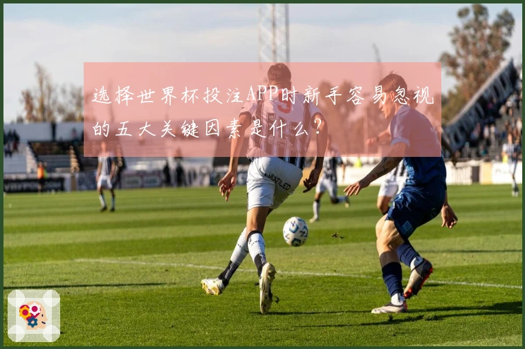 选择世界杯投注APP时新手容易忽视的五大关键因素是什么？