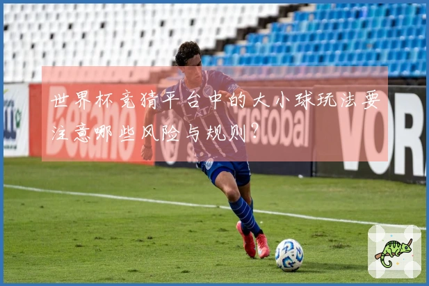 世界杯竞猜平台中的大小球玩法要注意哪些风险与规则？